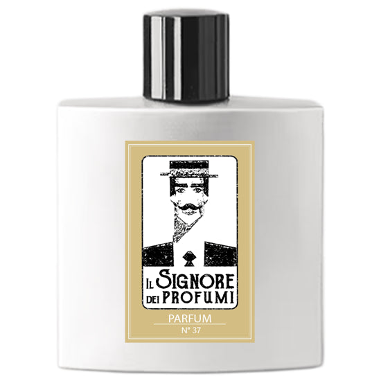 BIG Profumo N. 37 - BIG Parfum 100 ml -  Ispirato a Terre D'Hermès -  Hermès Paris